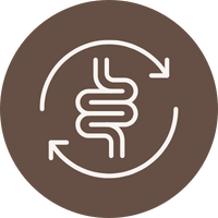 digestive health icon
