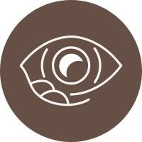 eye stye icon